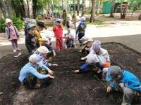 Фото_10